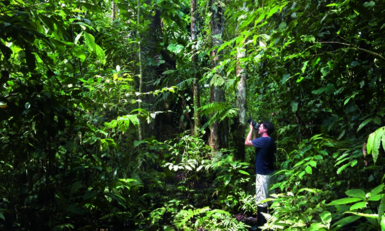 luxury travel remoton jungle Amazonas Ecuador