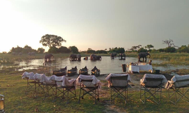 travel luxury safari Africa Botswana elephants okavango