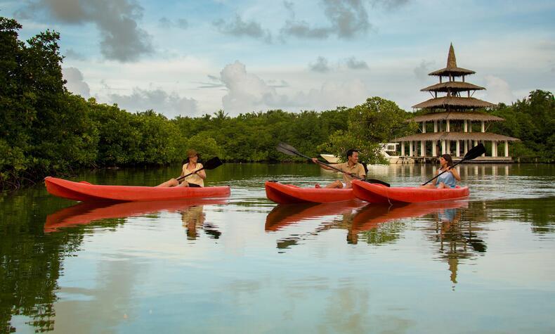 Kayaking through the island's mangroves is a good way to discover some of Siargao's most fascinating corners. nay-palad-luxury-luxury-romantic-hotel-philippines