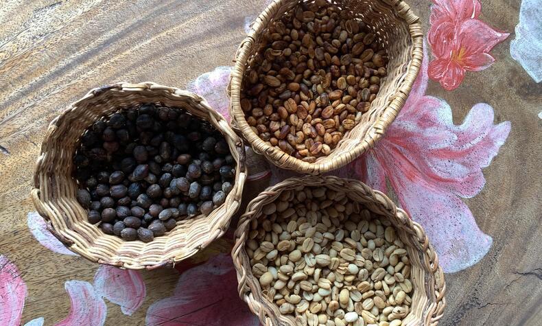 trip to the coffee region Colombia Quindio