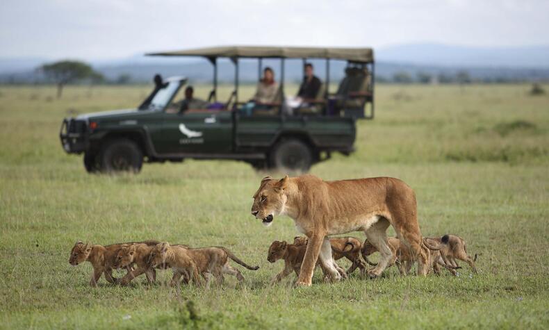 Serengeti River Lodge & Beyond