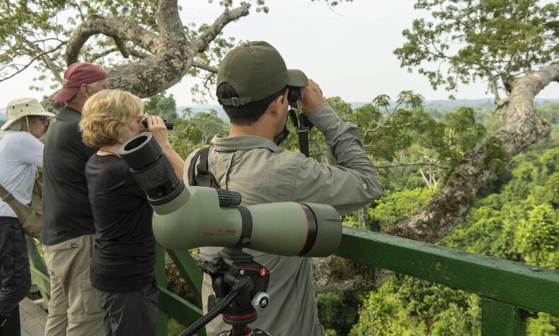 Biodiversity is one of the great attractions of this project. Fauna Napo
