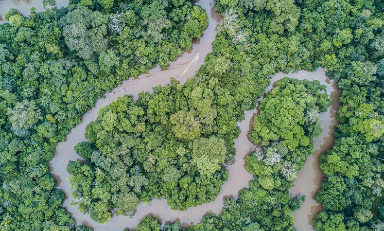 Aerial view of a meander in the jungle