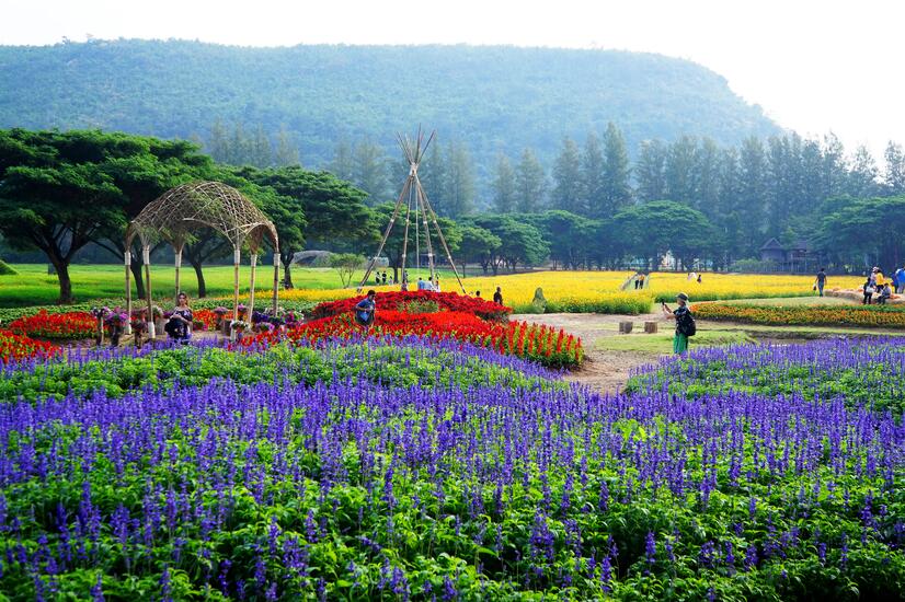 Traditional wooden barns and rice fields at the Jim Thompson Farm in Isaan, Thailand.