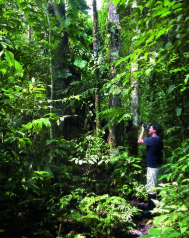 luxury travel remoton jungle Amazonas Ecuador