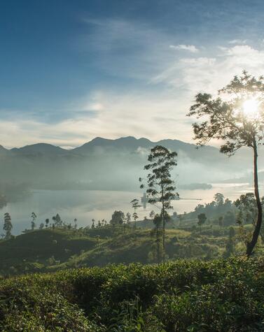 luxury travel sri lanka hotels ceylon tea trails