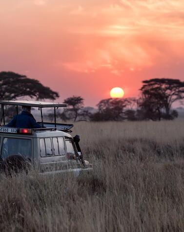 luxury safari trip Africa Botswana