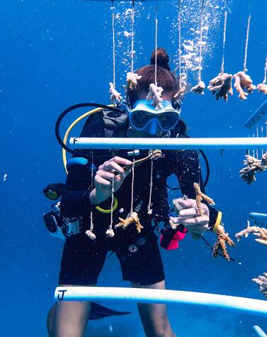 remote travel luxury maldives coral reef islands