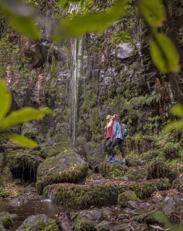 Levada dos Cedros. Photo: Francisco Correia.