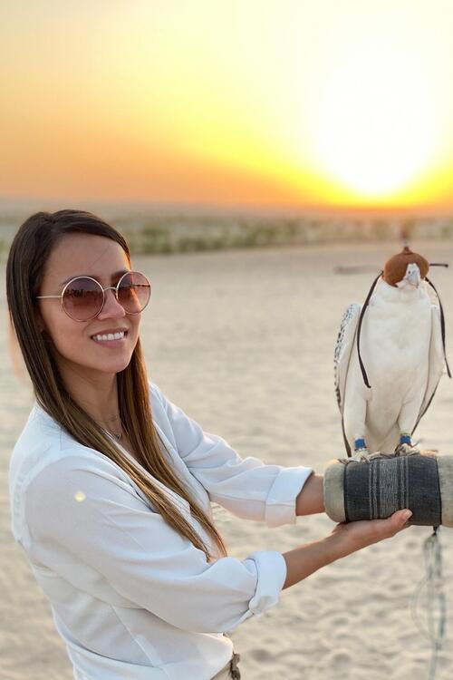 Falcons are one of the most important animals in Arabian culture. luxury travel arab emirates dubai desert Rub AL Khali falcons