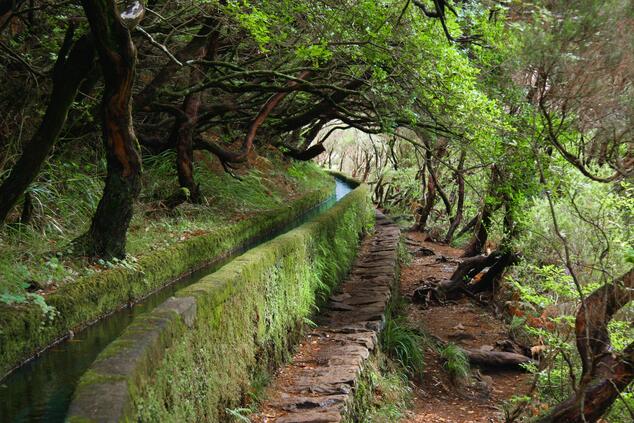There are more than 2,000 kilometers of "levadas" in Madeira, a system of canals used to transport water from the north to the south of the island. Photo: Joexx. luxury travel madeira levada