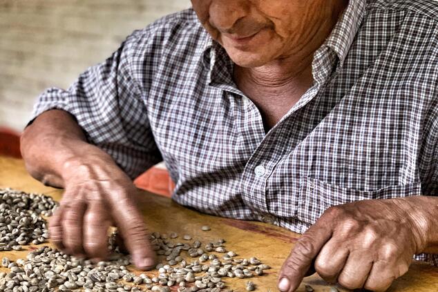 trip to the coffee-growing region of colombia.