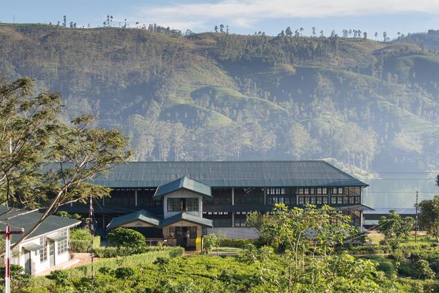 The Dunkeld Tea Factory is 140 years old. luxury trip sri lanka dunkeld tea factory