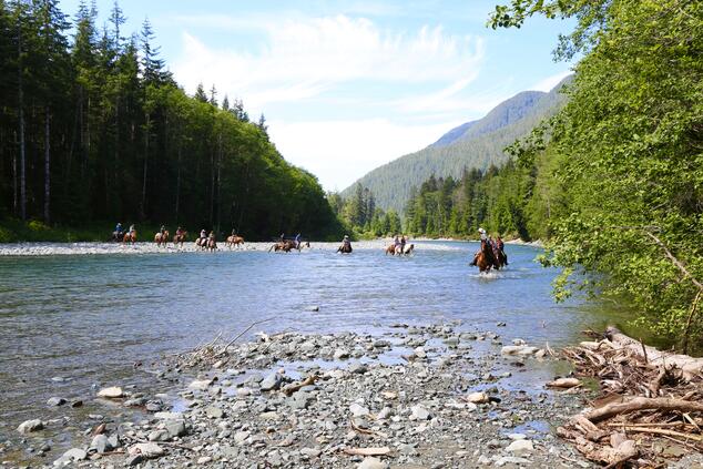 grizzly bears travel canada