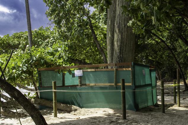 Turtle nursery.