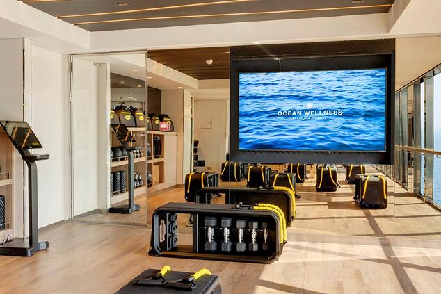 Explore Journeys Wellness