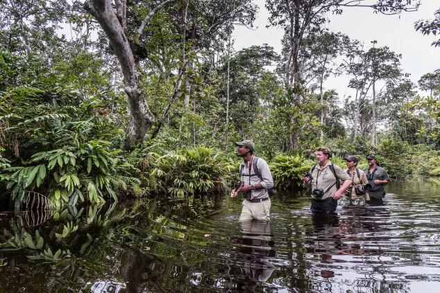 Walking through a bai in search of elephants