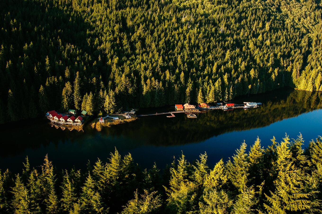 Vancouver Island is home to one of the oldest coniferous forests in the world. remote luxury travel british columbia canada Rocky canada