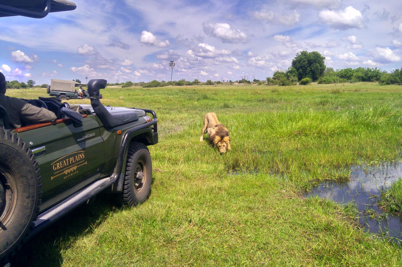 luxury travel Africa Botswana safari Okavango safari