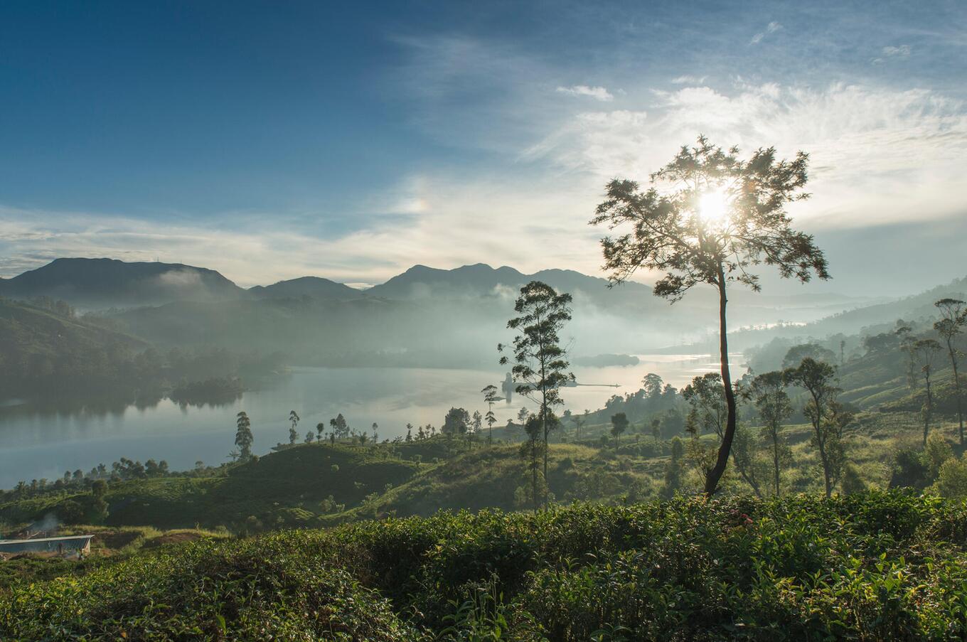 Castlereagh Lake, at an altitude of 1,250 meters, represents the heart of one of the largest tea-producing areas in the world luxury travel sri lanka ceylon tea trails hotels castlereagh lake