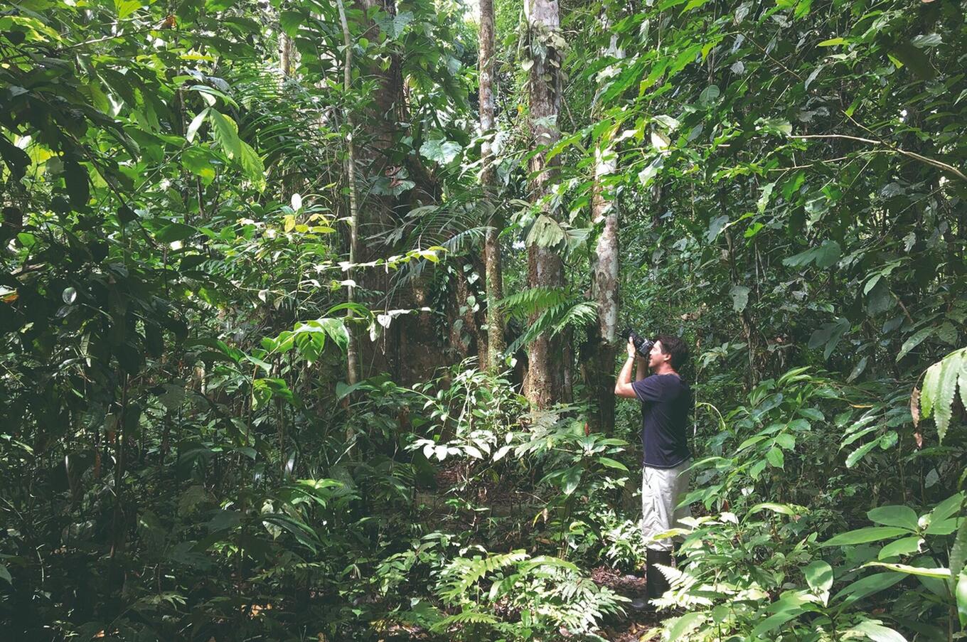 luxury travel Gonzalo Gimeno jungle Amazon Ecuador Ecuador authenticity