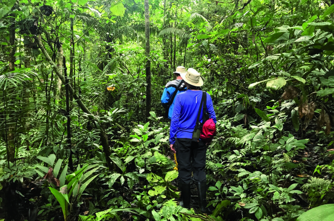travel experience luxury jungle Amazon Ecuador