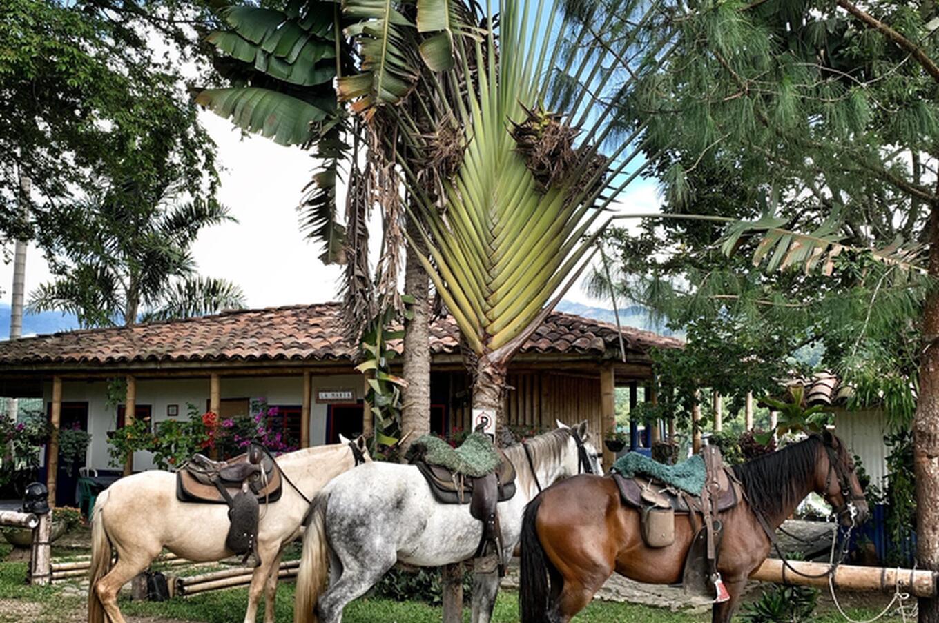 luxury travel Colombia hacienda bambusa