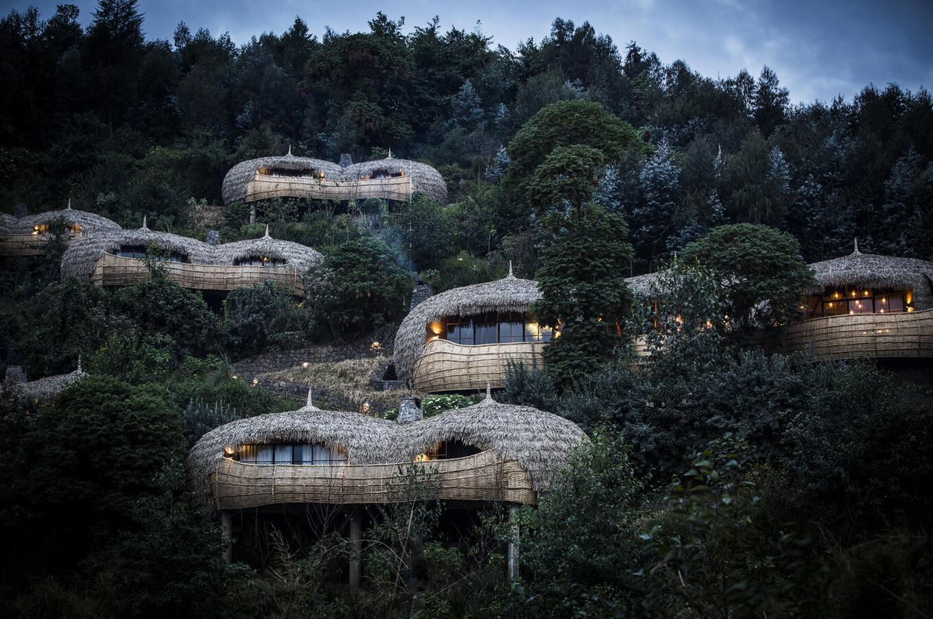 Bisate lodge in Rwanda gorilla safari