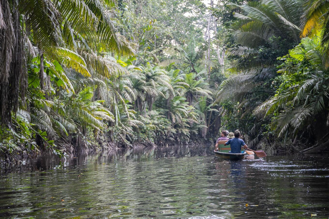 Living nature at Napo Wildlife Center