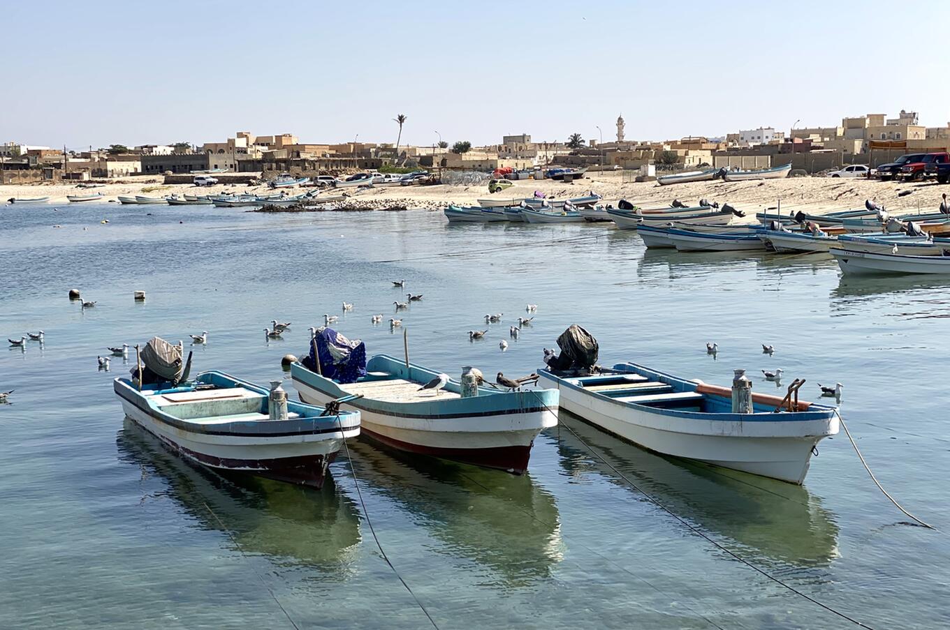 The strong city of Mirbat was part of the ancient frankincense and myrrh route that crossed the south of the country to Petra and Damascus. remote luxury travel oman mirbat salalah