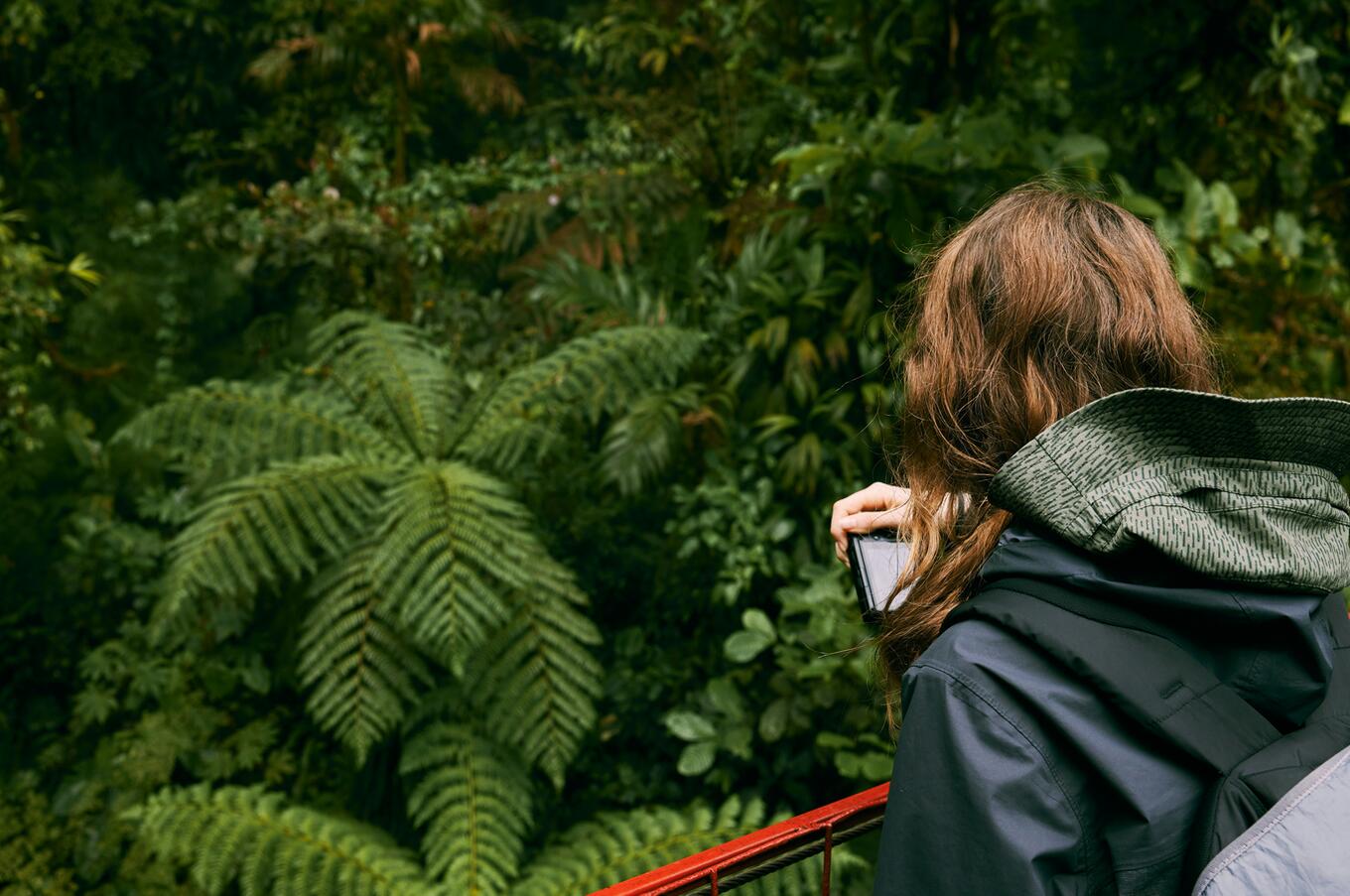 One of Monteverde's hanging bridges. Photo: Natalia Blauth.