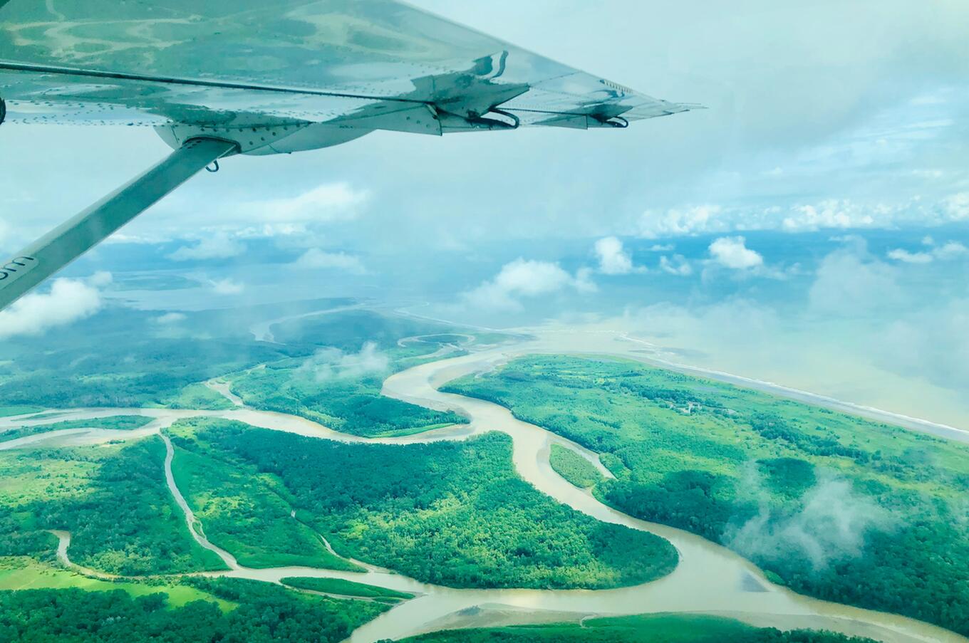 Humpback Whale Puerto Jimenez Puntarenas