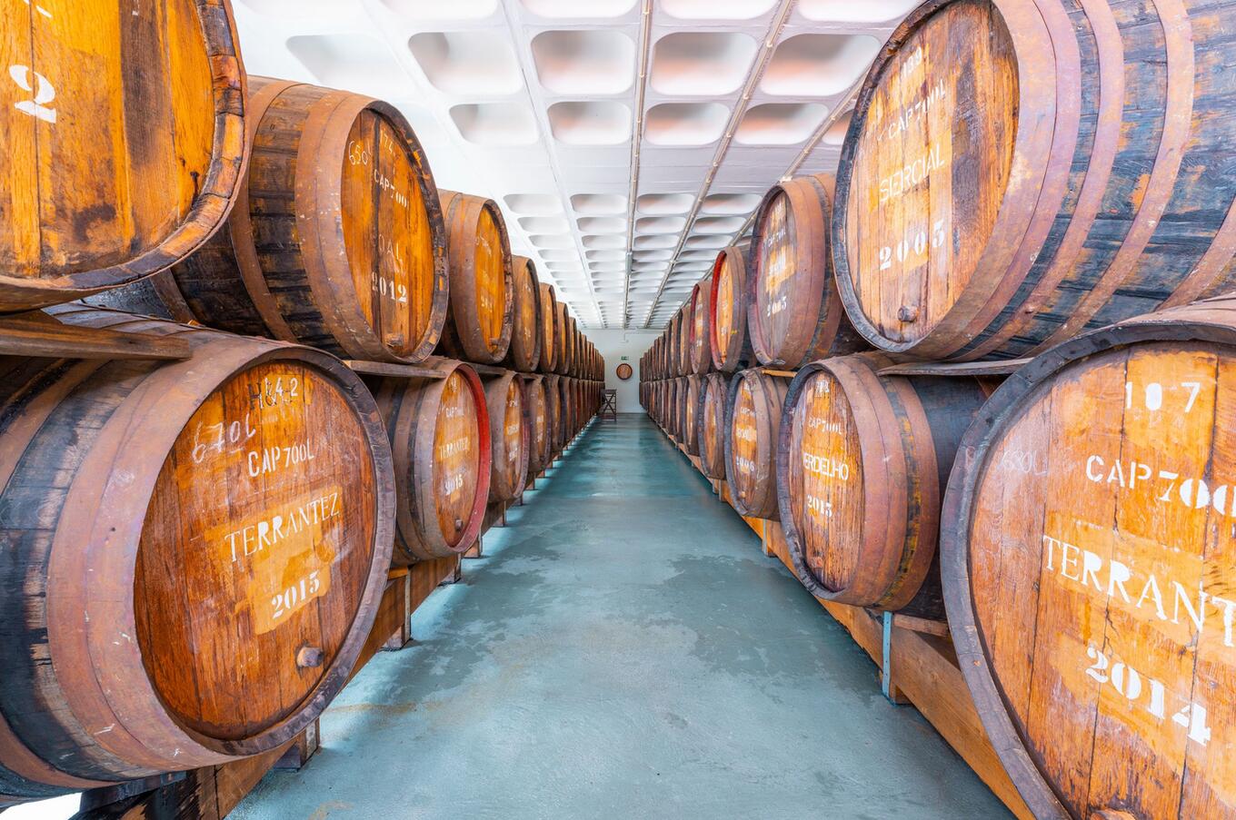 Barrels at the Henriques & Henriques museum. Photo: Nuno Andrade.