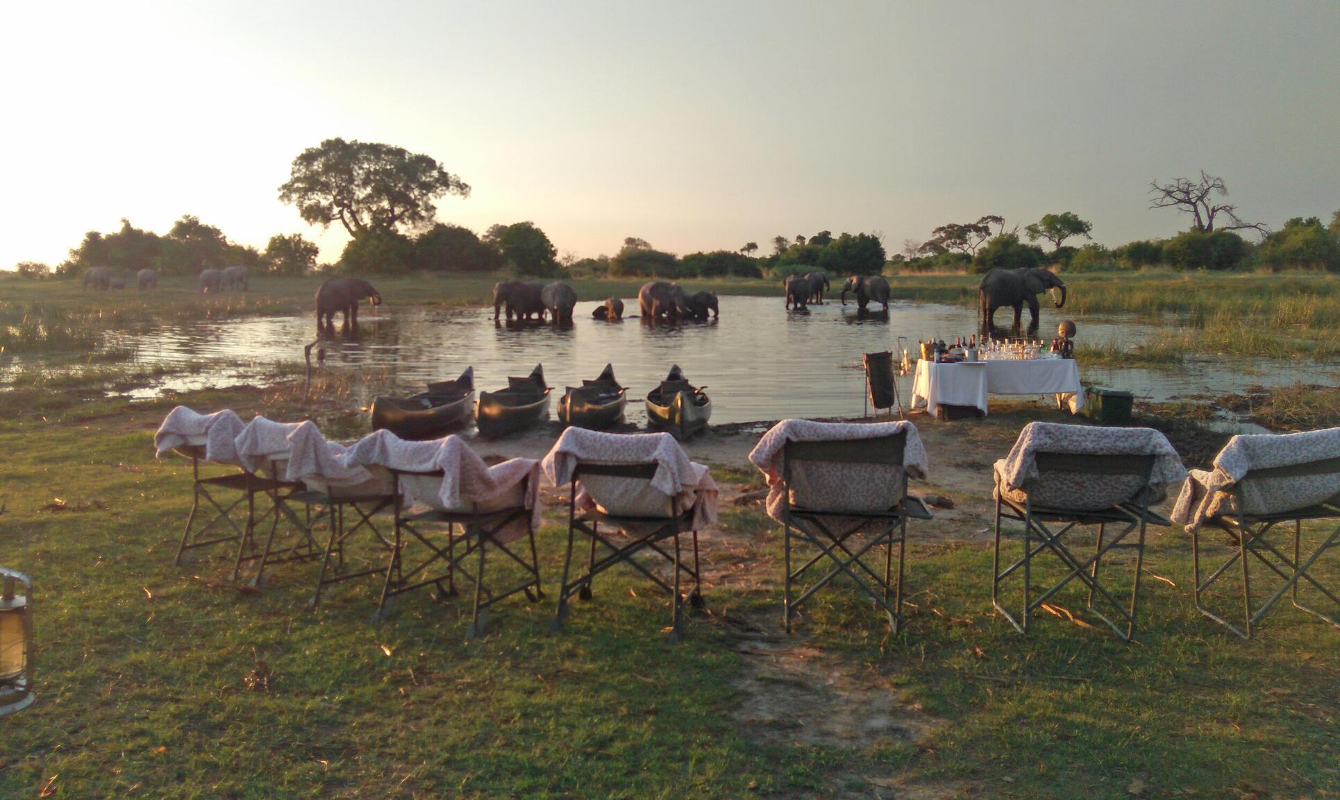 luxury safari travel Botswana Africa