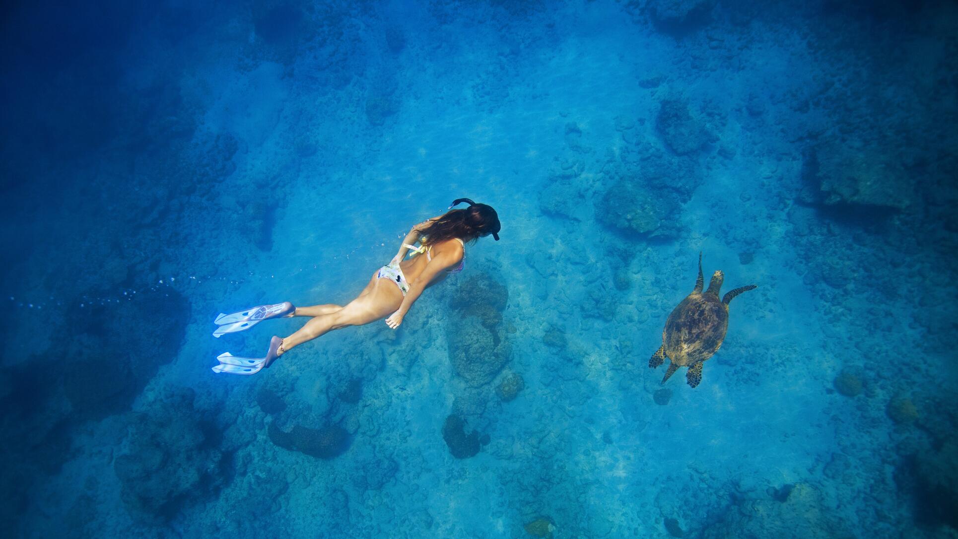 The university of life, the university of pure life, Costa Rica