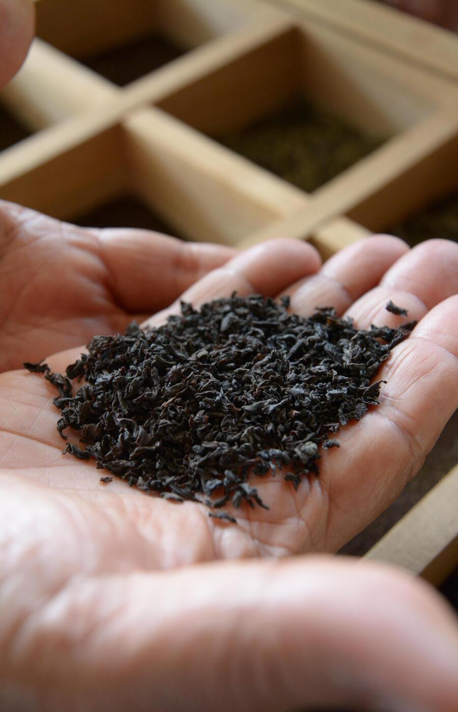 The degree of fermentation is what makes a tea black, green or white. luxury travel sri lanka tea plantations