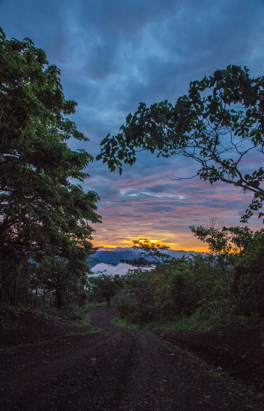 Photo: Robin Canfield. Guanacaste. El Tajo viewpoint.